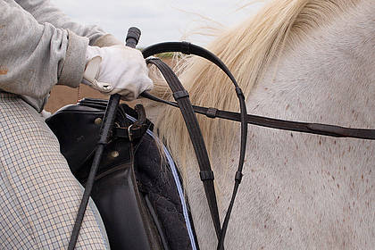 Nach Funfkampf Drama Im Reiten Kritik Auch Von Fn Radio Waf