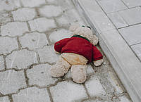 Teddy auf der Straße.
