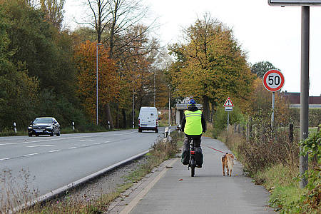Fahrradfahrer mit Hund neben einer Straße